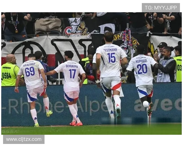 法甲里昂俱乐部与主要赞助商的合作分析 法甲里昂俱乐部与主要赞助商的合作分析